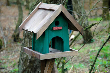 Vogelfutterhaus "Green House" (21120e) - Luxus-Vogelhaus.de